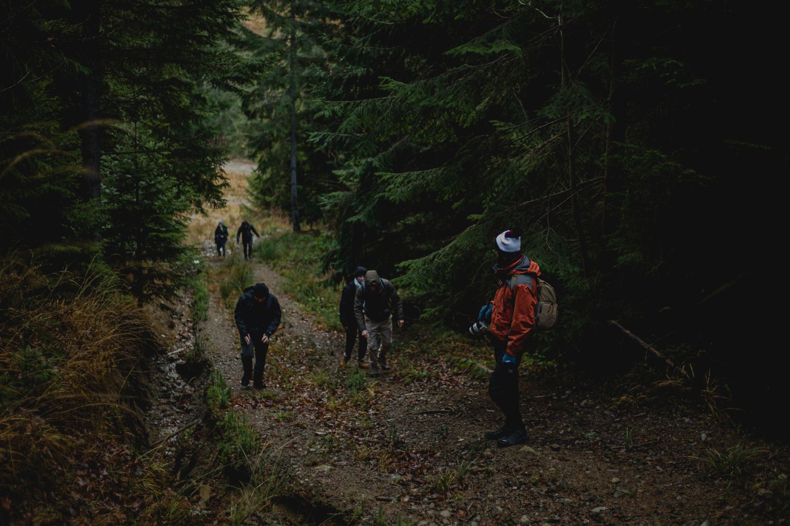 Two couples hiking a state park trail on a cold autumn morning