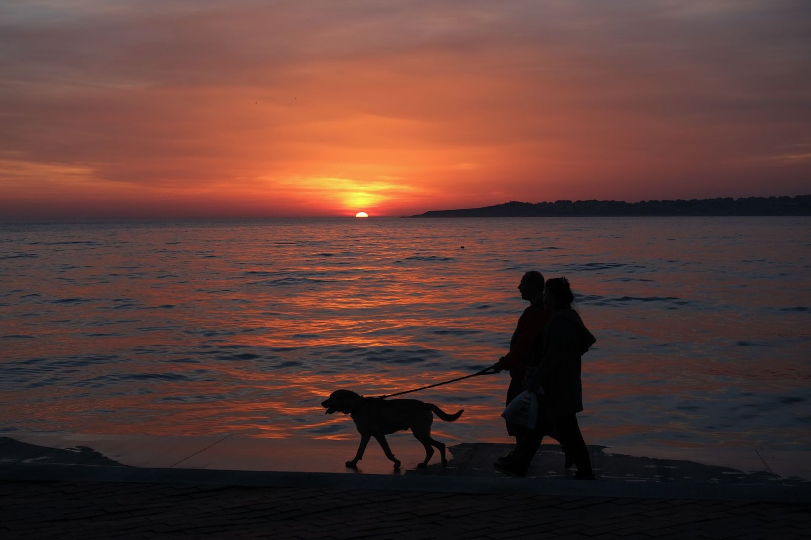 Couple walking a dog around the block at sunset while talking
