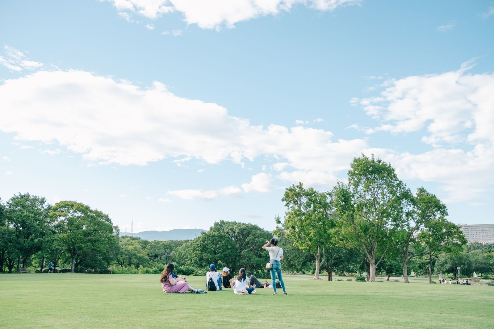 Coworkers laughing at a summer company picnic in a park, the moment that sparked my jealousy